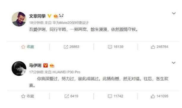 文章马伊琍离婚